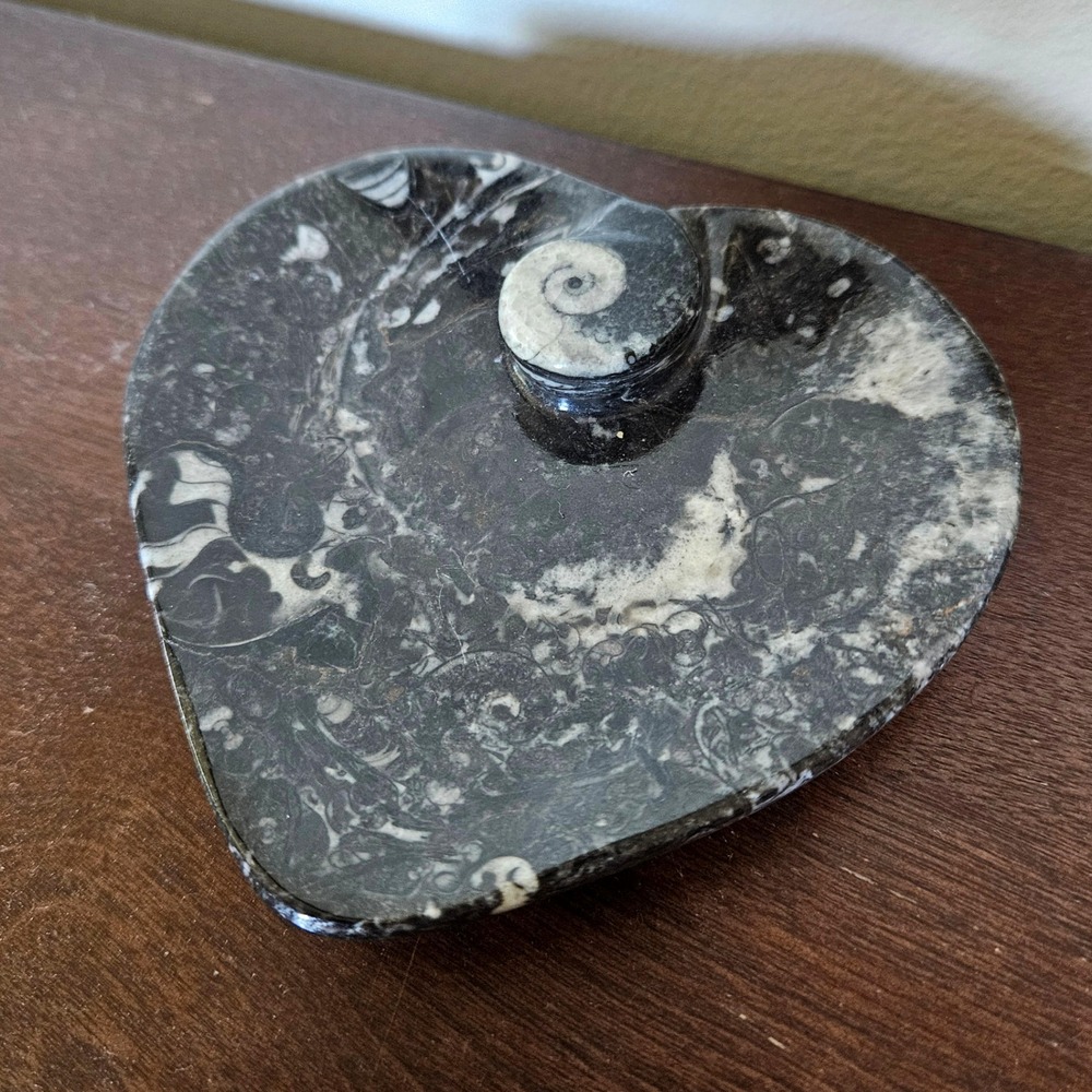 Orthoceras Fossil Heart Trinket Dish Bowl Black Polished Stone Jewelry Coin 4.5"